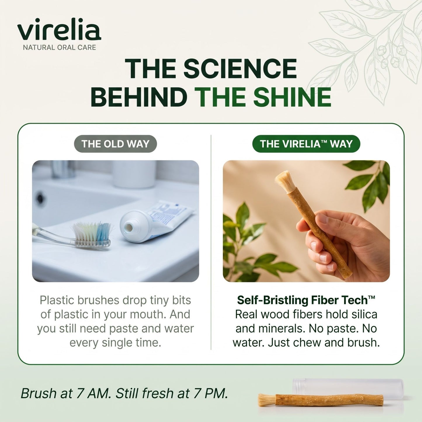 Virelia™ Miswak Sticks for Teeth