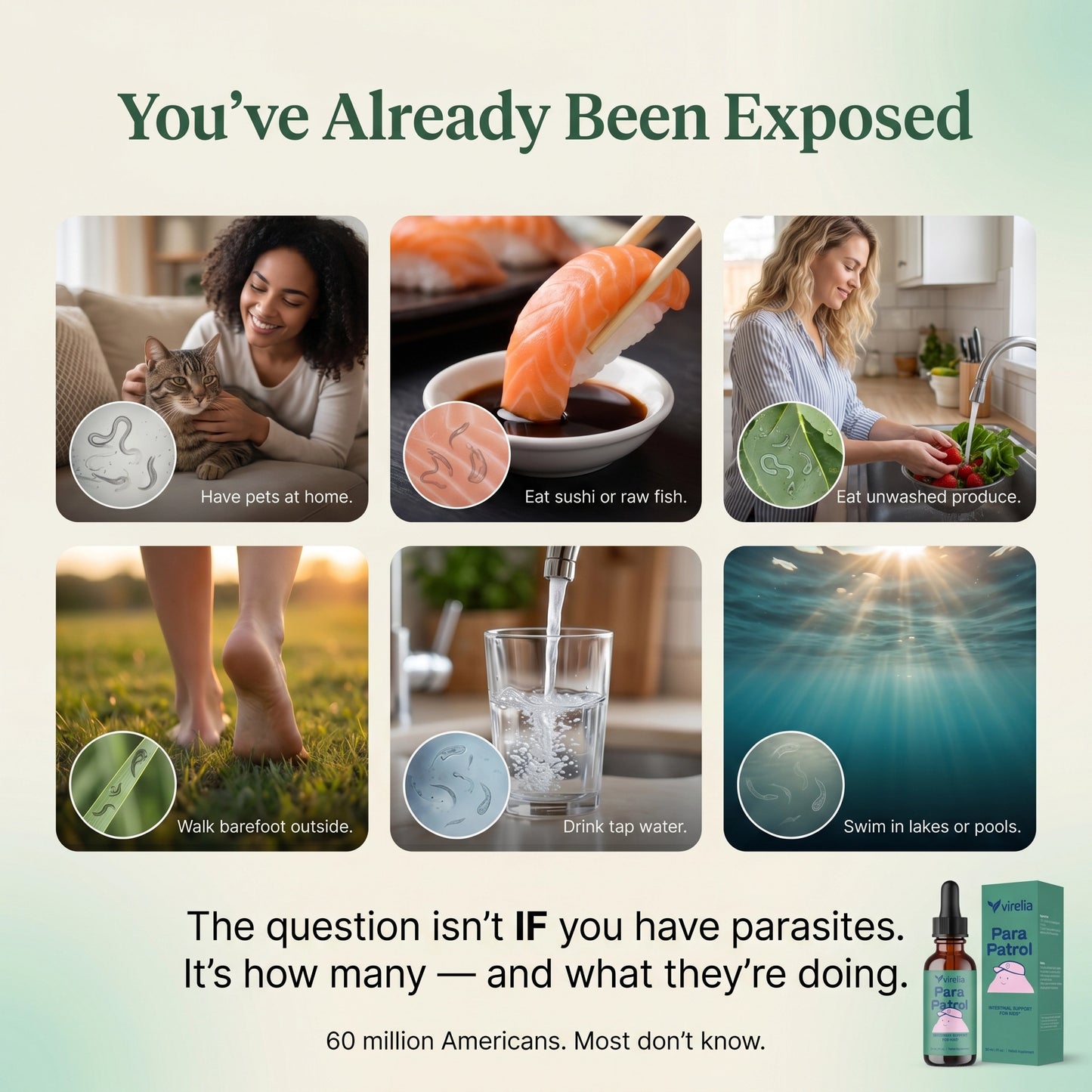 Virelia™ – Black Walnut Wormwood Clove Parasite Cleanse