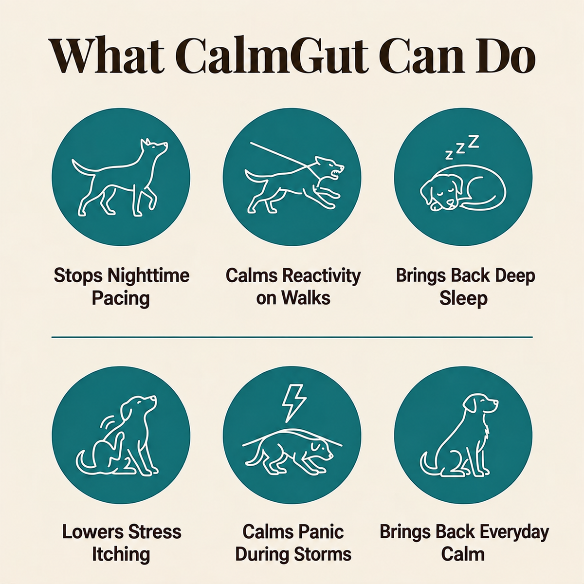 CalmGut™ Postbiotic Chews - Chicken Flavor