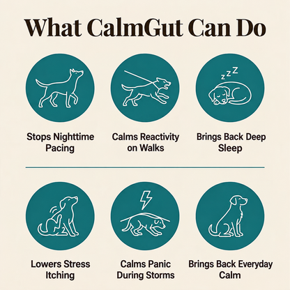 CalmGut™ Postbiotic Chews - Chicken Flavor