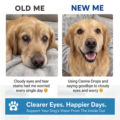 Virelia™ - Clear Vision Drops for Dogs