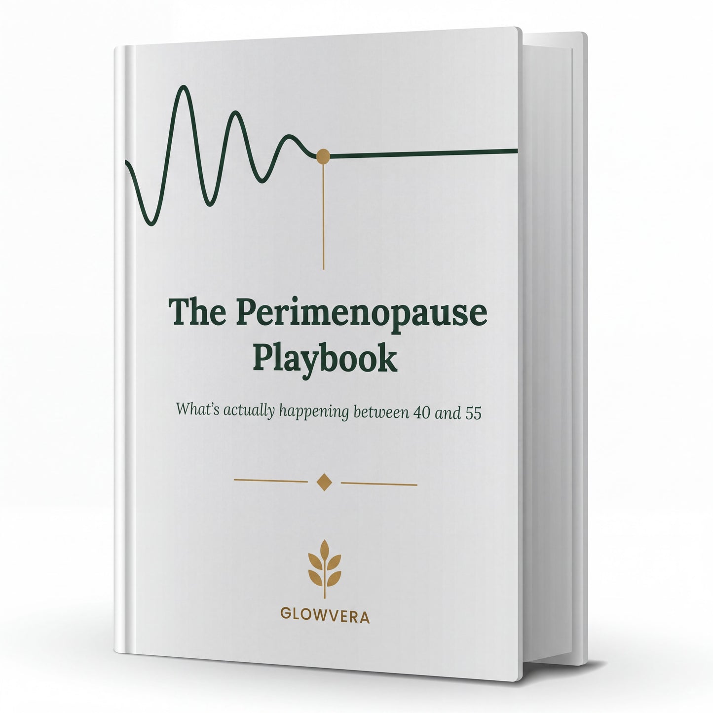 The Perimenopause Playbook (Ebook)
