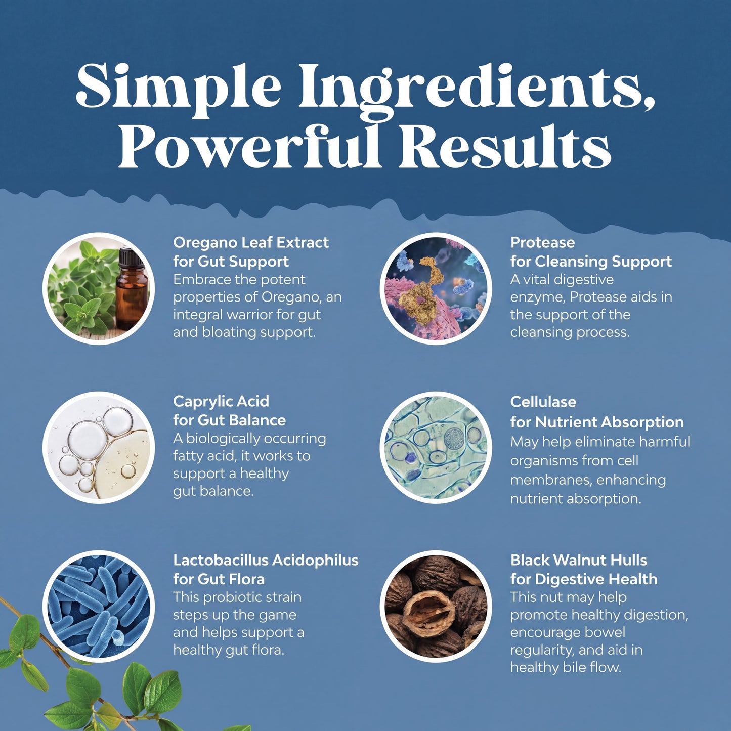 Virelia™ - Candida Cleanse
