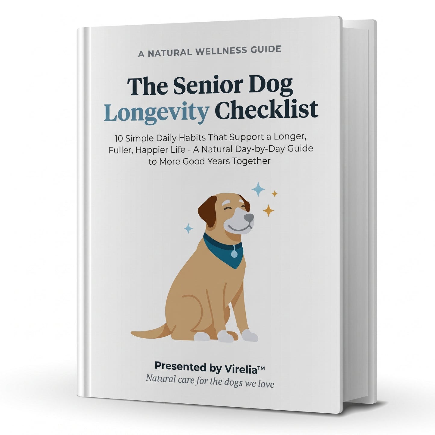 The Senior Dog Longevity Checklist (Ebook)