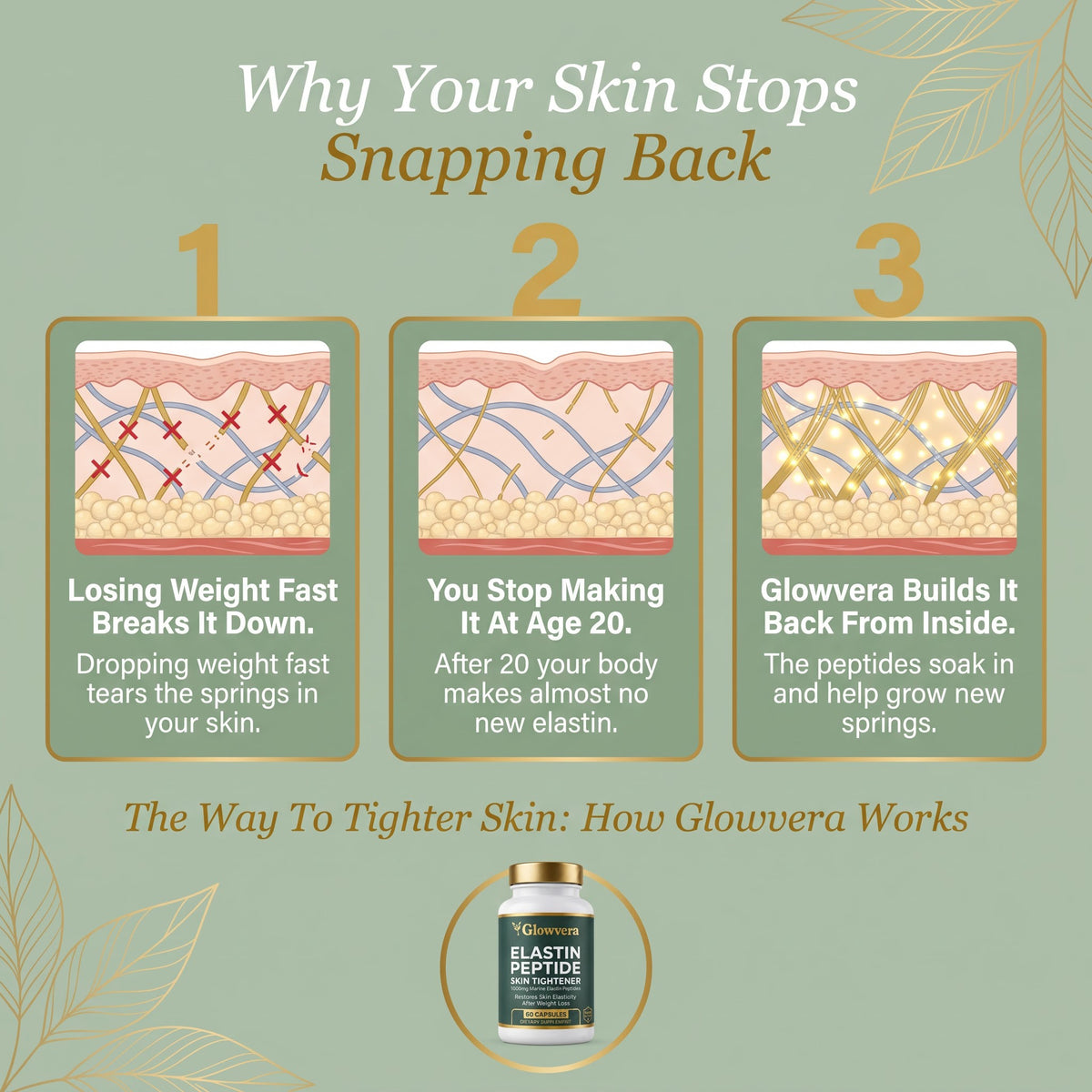 Glowvera™ - Elastin Peptide Skin Tightening Formula