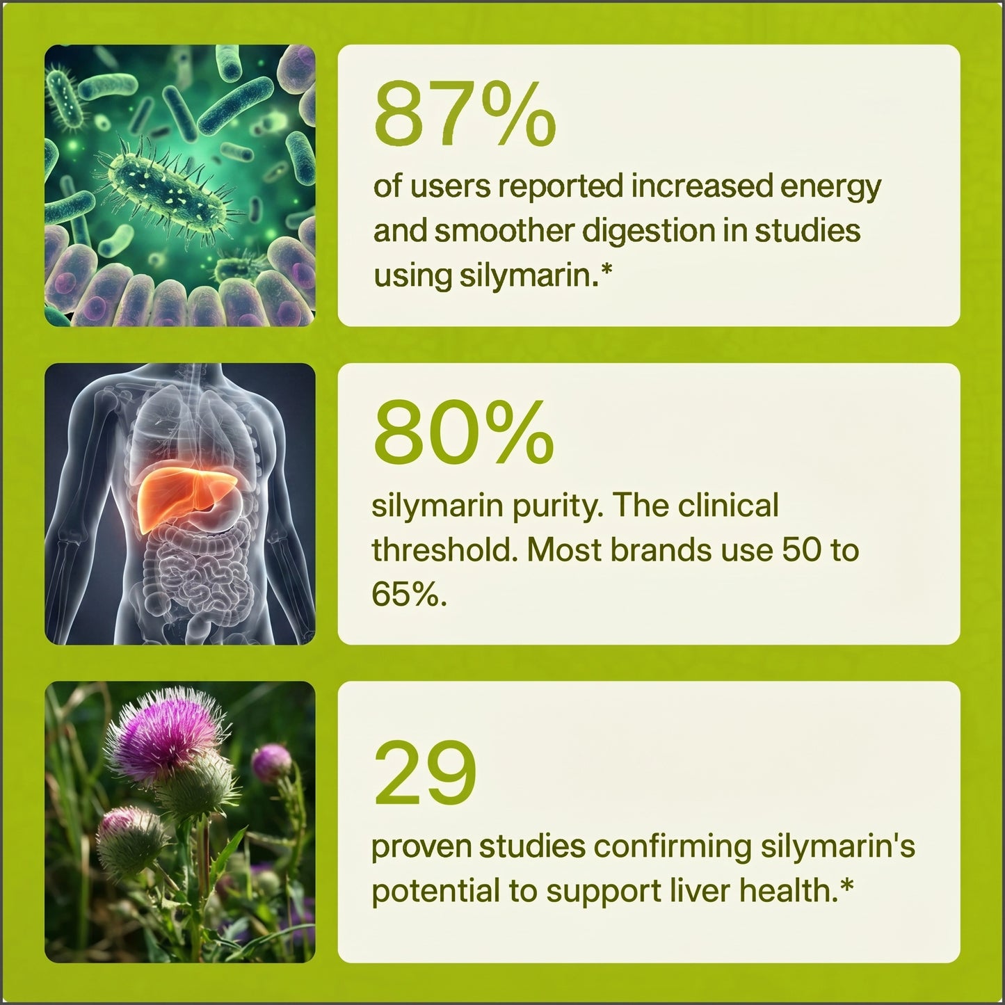 Virelia™ - Milk Thistle Support